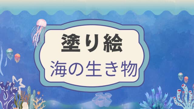海の生き物