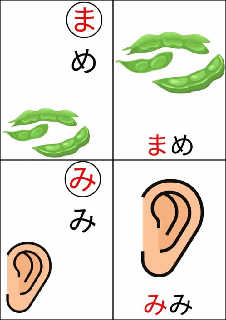 ひらがなカルタ背景白まめ・みみ