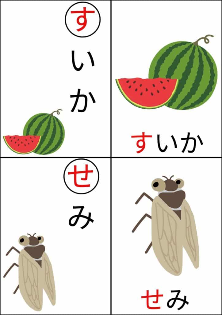 ひらがなカルタ背景白すいか・せみ