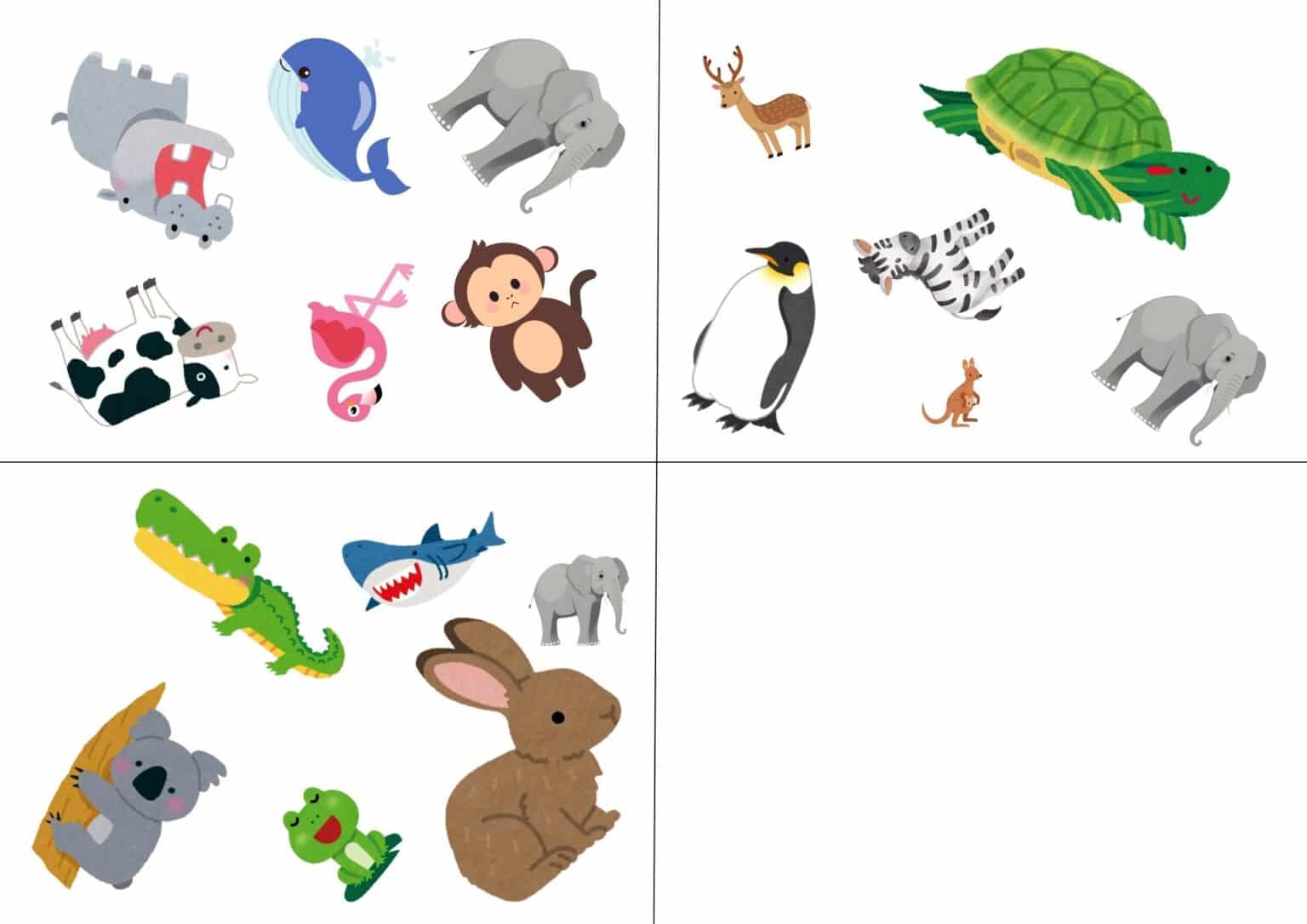 同じ動物を見つけよう